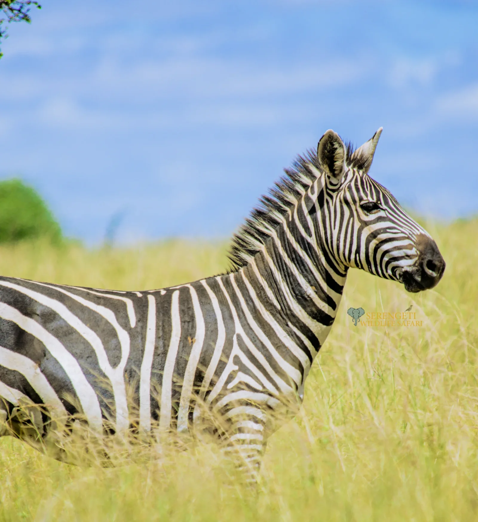 Arusha National Park
