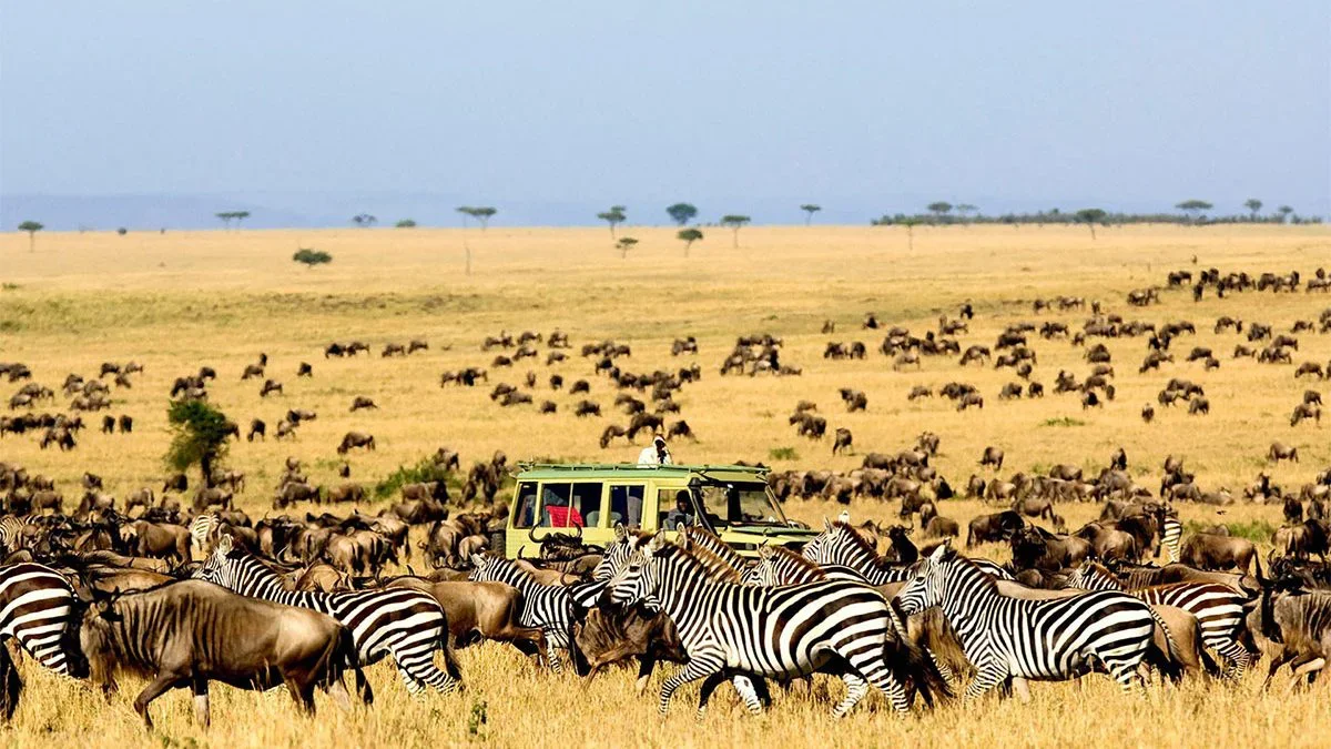 Ndutu Plains