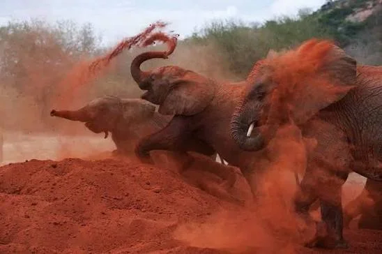 Tarangire National Park