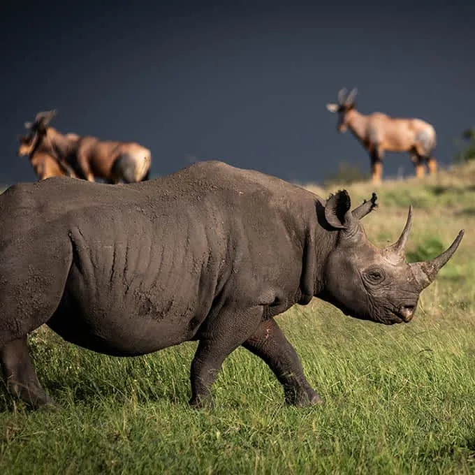 12-Day Northern Circuit & Zanzibar Extension Adventure Safari