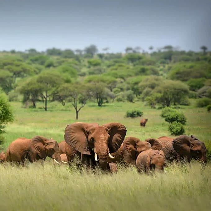 13-Day Grand Northern Circuit & Kenya Extension Adventure Safari