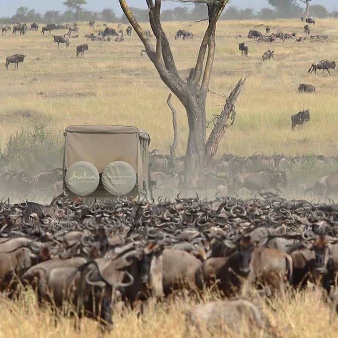 8-Day Northern Circuit Adventure Safari