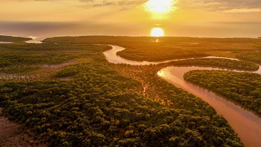8-Day Nyerere National Park Boat Safari Special Safari