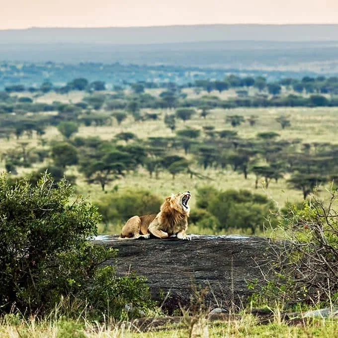 9-Day Serengeti to Maasai Mara, Kenya Adventure Safari