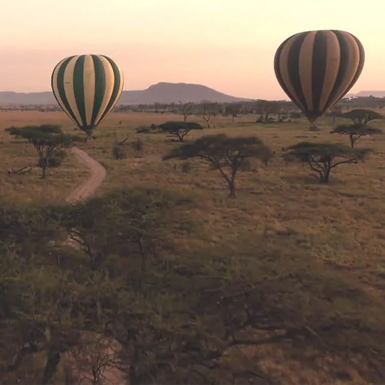 11-Day Full Northern Circuit & Maasai Mara Balloon Safari
