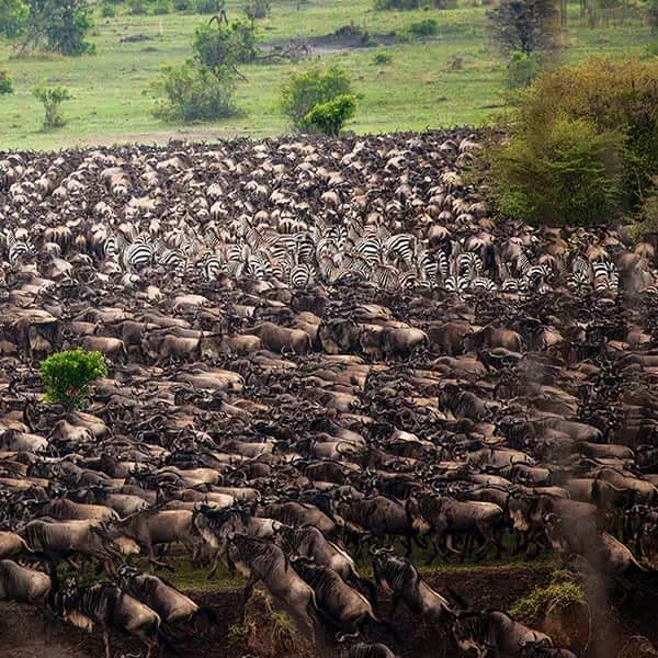 13-Day Grand Northern Circuit & Kenya Extension Balloon Safari
