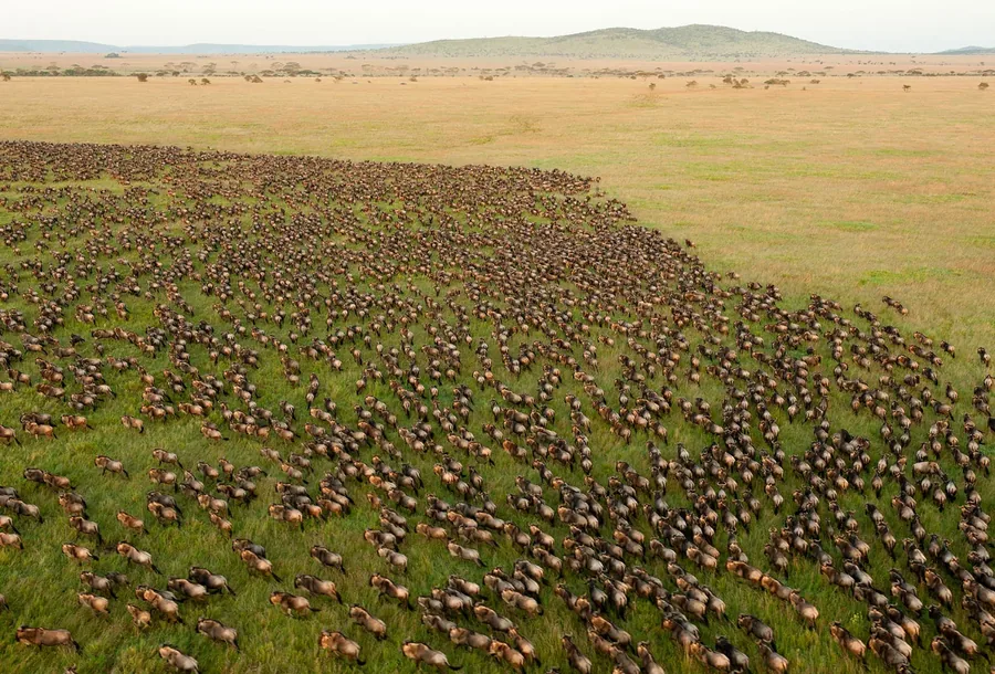 3-Day Serengeti Balloon Safari