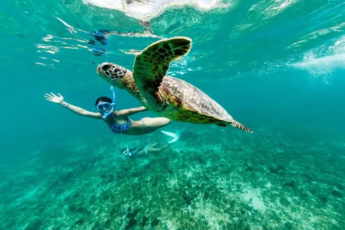 7-Night Nungwi Family Beach Holiday