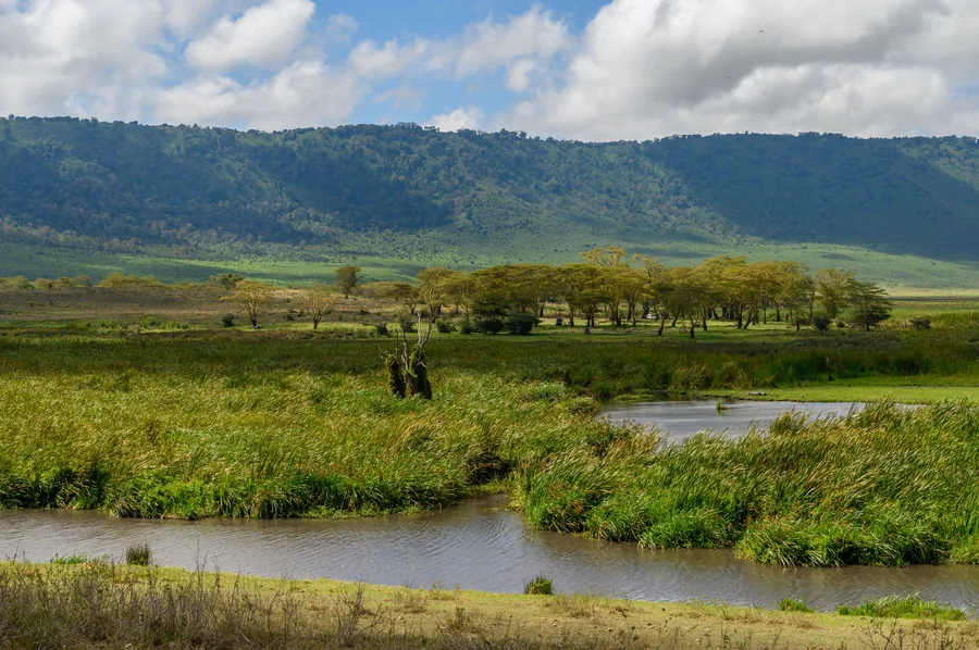 12-Day Northern Circuit & Zanzibar Extension Family Safari