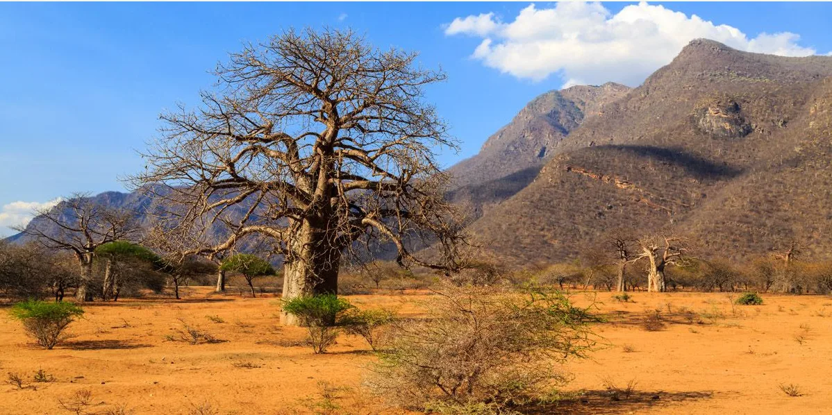 2-Day Tarangire & Ngorongoro Quick Safari