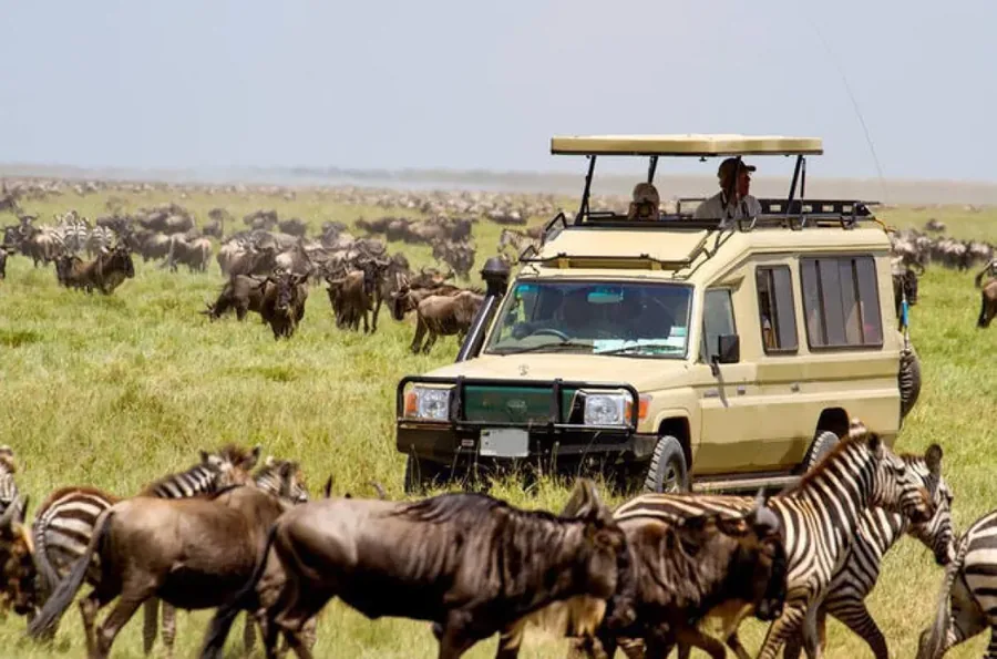 3-Day Serengeti Family Safari