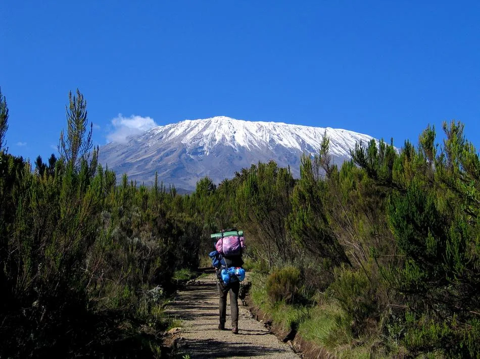 6-Day Marangu Route Kilimanjaro Climb