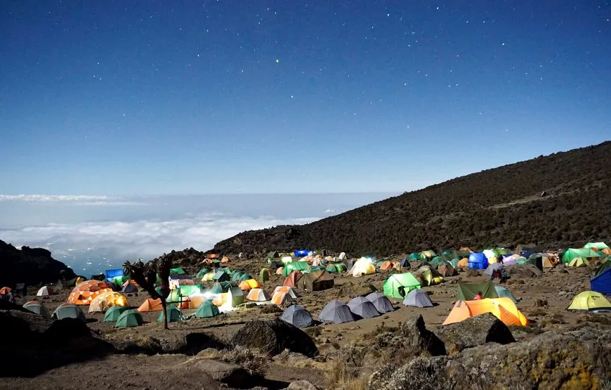 7-Day Rongai Climb + 5-Day Safari Combo