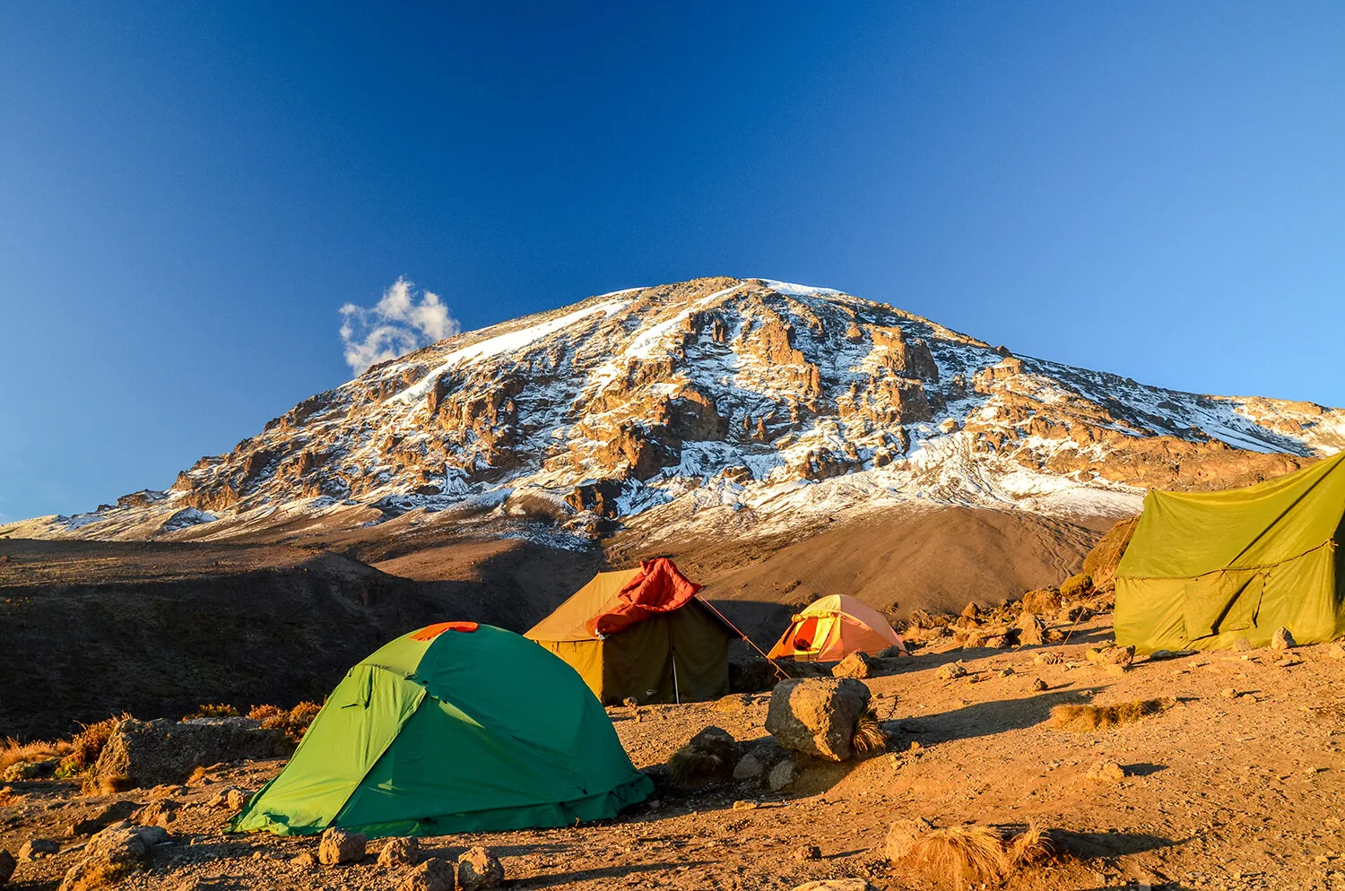 7-Day Shira Route Kilimanjaro Climb