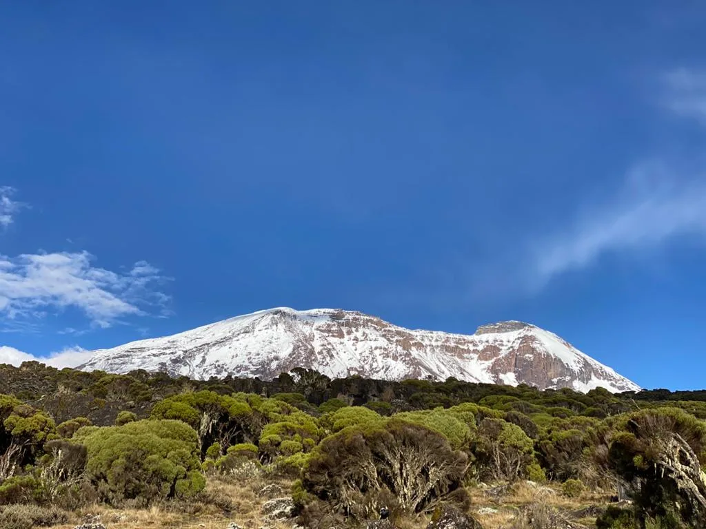 9-Day Lemosho Route Kilimanjaro Climb
