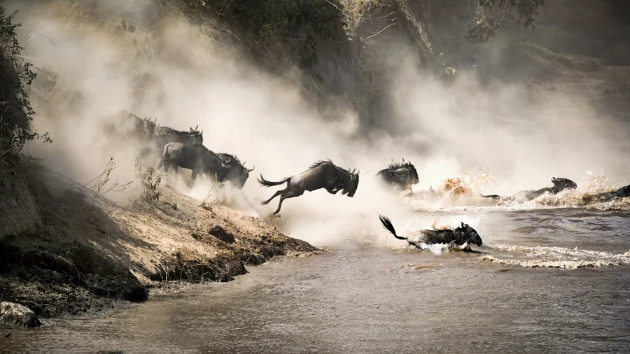 12-Day Northern Circuit & Zanzibar Extension Honeymoon Safari
