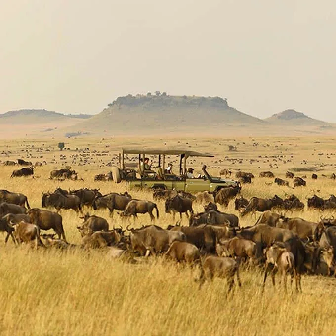9-Day Serengeti to Maasai Mara, Kenya Luxury Safari