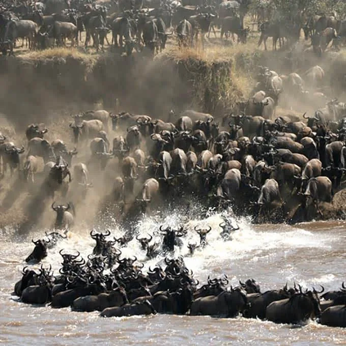13-Day Grand Northern Circuit & Kenya Extension Photographic Safari