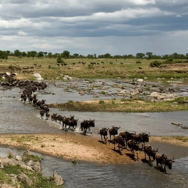 7-Day Northern Circuit Photographic Safari