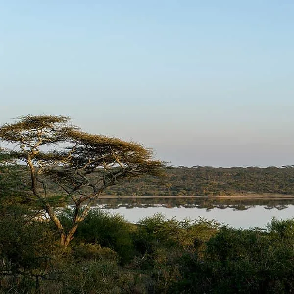 8-Day Northern Circuit Photographic Safari