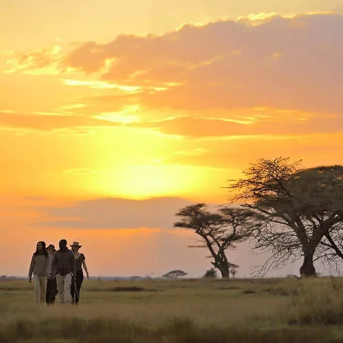 10-Day Serengeti & Kenya Grand Circuit Walking Safari