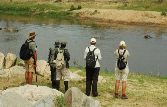 5-Day Serengeti & Ndutu Walking Safari